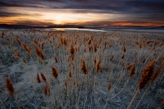 Salt Lake Sunset
